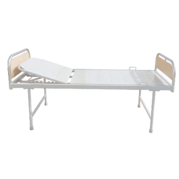 Ward bed with back Rest